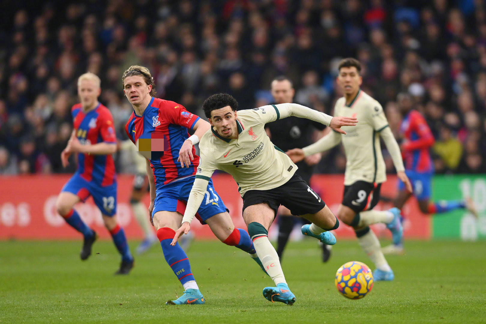 每一场预选 每一场预选